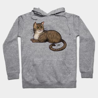 Cat - American Shorthair - Brown Tabby Hoodie